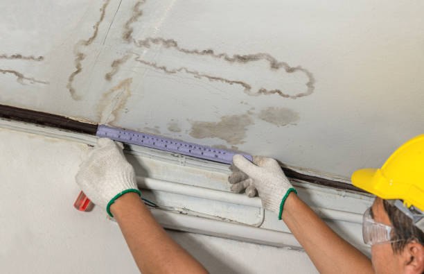 Reliable Sewage Cleanup contractor in Rochester, NH by Water Damage Irwin